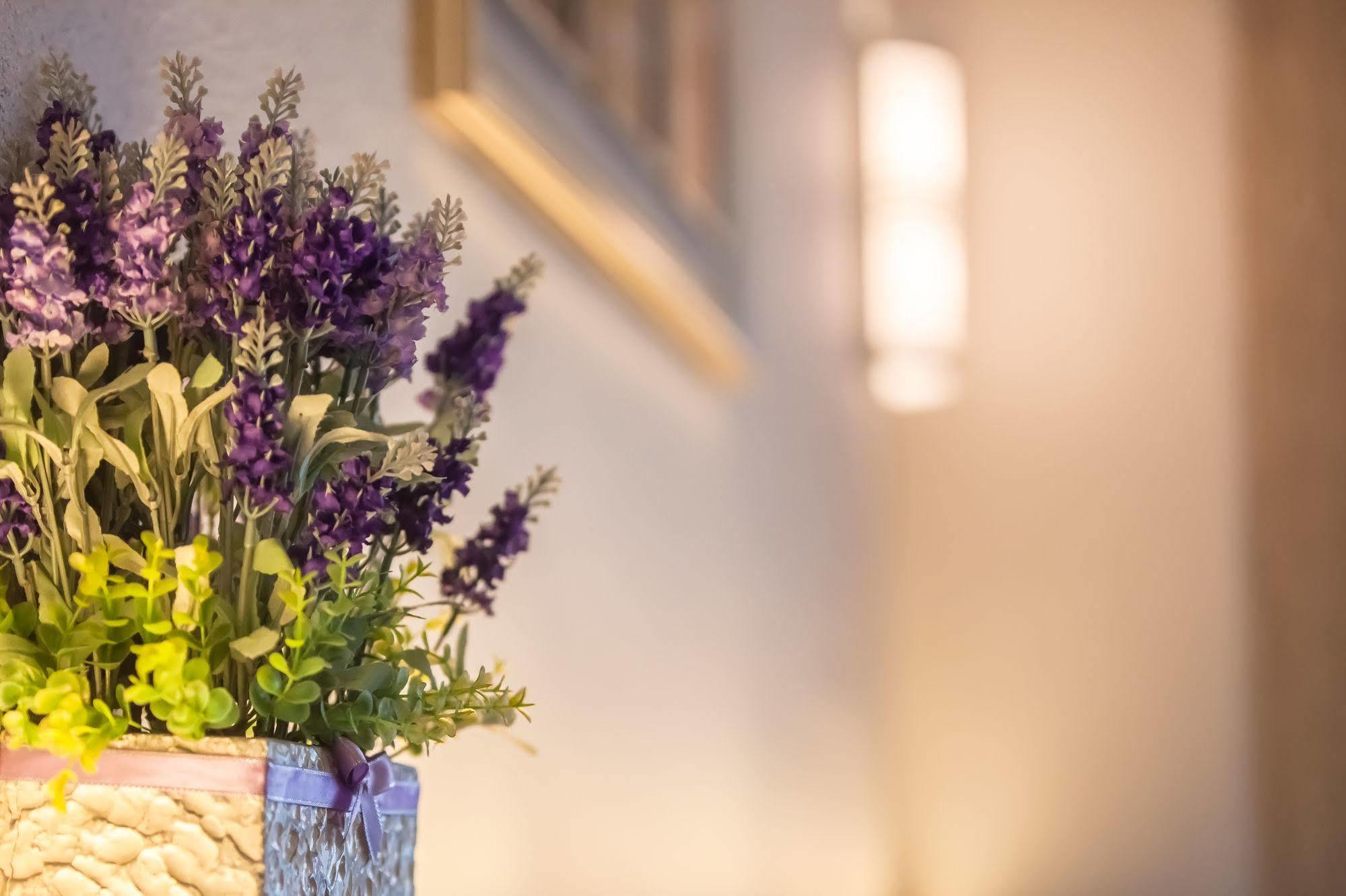 Lavender Inn Nusa Bestari Джохор Бахру Екстериор снимка